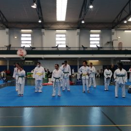 8ºOpen Internacional de Sintra